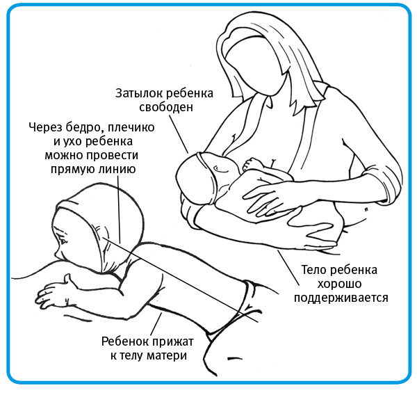 Симптомы заболеваний, диагностика, коррекция и лечение молочных желез — molzheleza.ru. как подготовить грудь к кормлению ребенка: уход за сосками после родов и перед грудным вскамрливанием