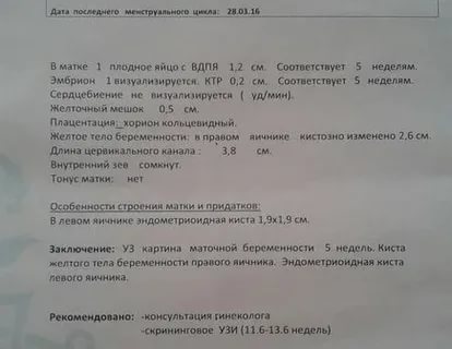 Желтое тело при беременности: размеры в норме на ранних и поздних сроках по неделям, чем опасны киста и недостаточность