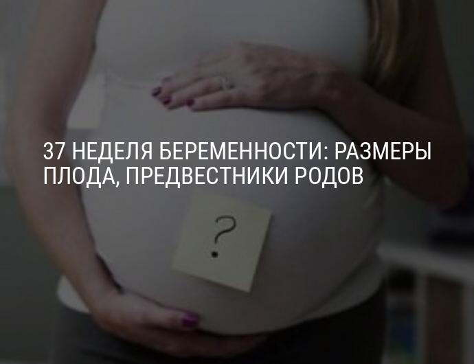 37 неделя беременности – что происходит? роды в 37 недель беременности – предвестники родов у повторнородящих, у первородящих