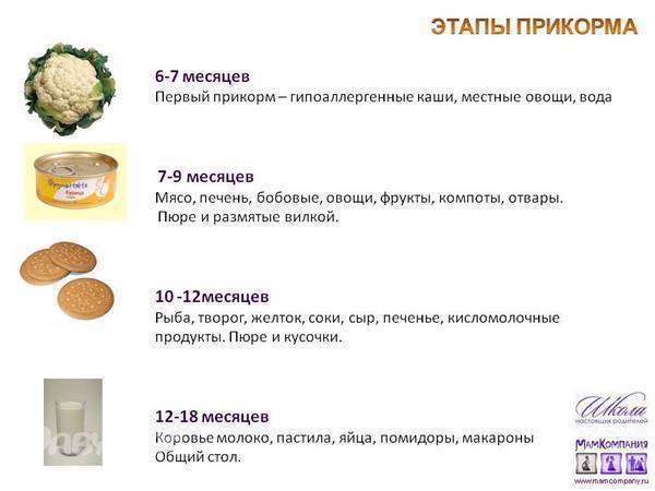 Картофельное и овощное пюре для грудничка: рецепт приготовления
