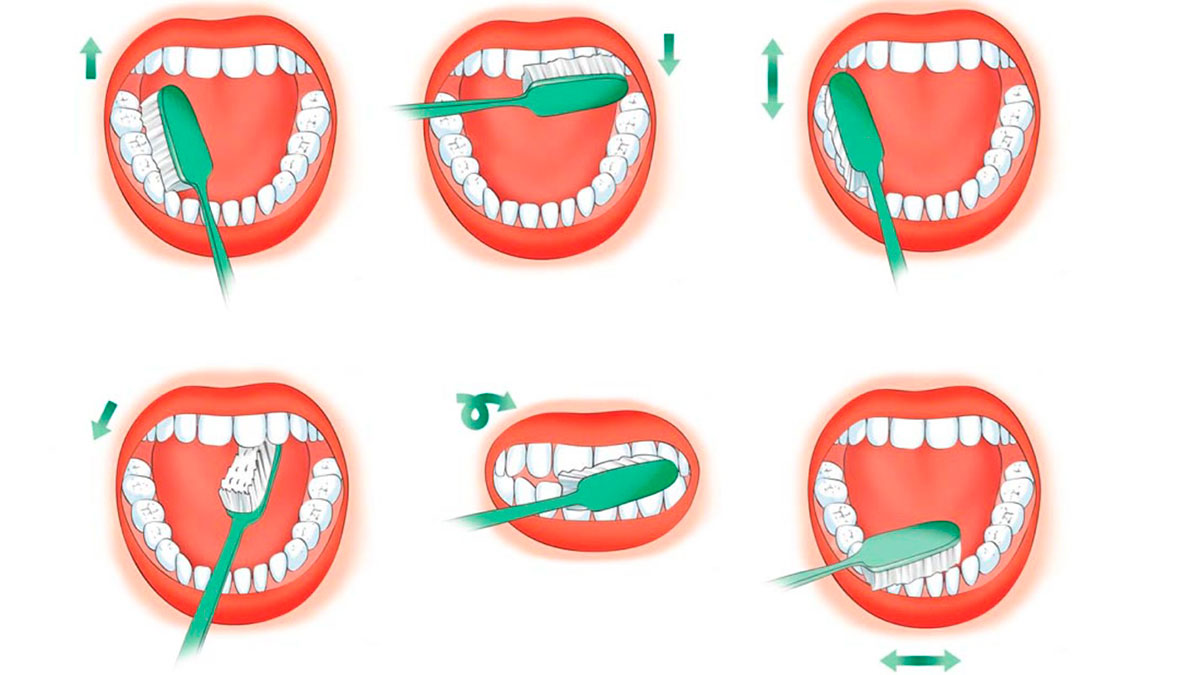 Как правильно чистить зубы картинки для детей