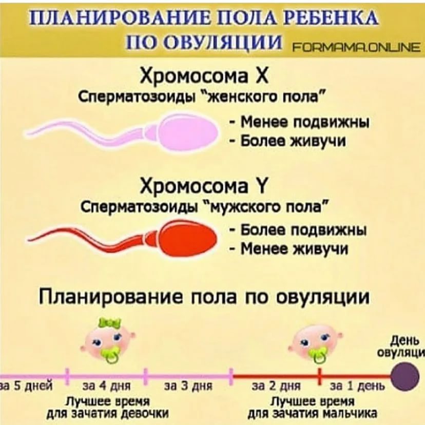 Почему не получается забеременеть? гинеколог-репродуктолог разрушает распространенные заблуждения - новости yellmed.ru