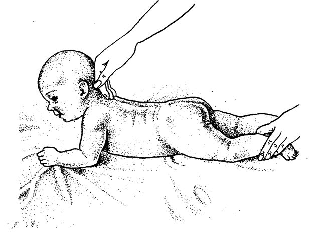 Развивающая гимнастика: комплекс упражнений для грудничка - parents.ru