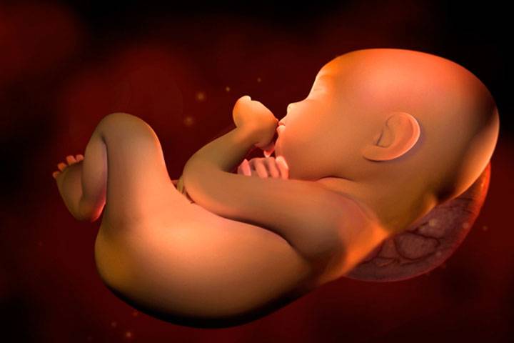 31 неделя беременности: что происходит ощущения развитие плода