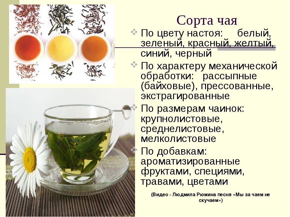 С какого возраста можно давать ребенку чай: с какого возраста, со скольки месяцев можно дать зеленый и черный чай грудничку