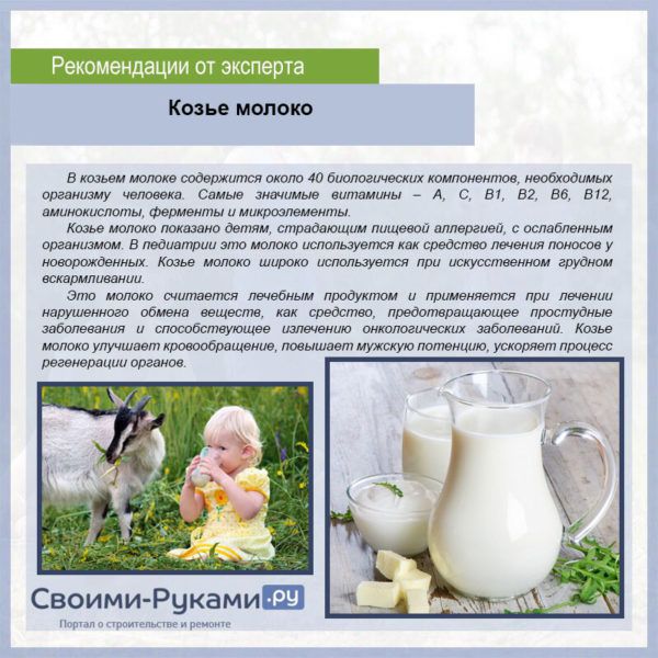 Козье молоко для грудничка: с какого возраста можно давать