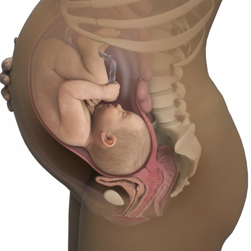 38 неделя беременности: ощущения, предвестники родов