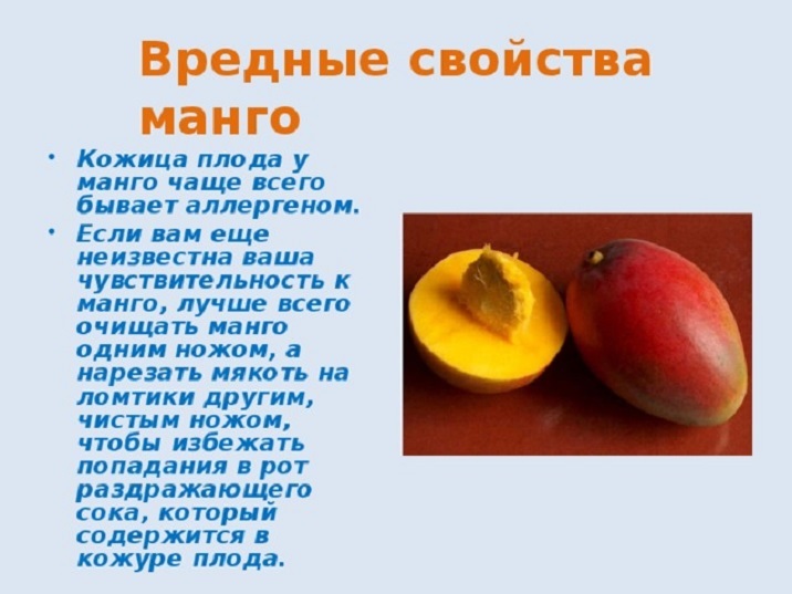 Все самое интересное о манго: польза, вред, нюансы употребления