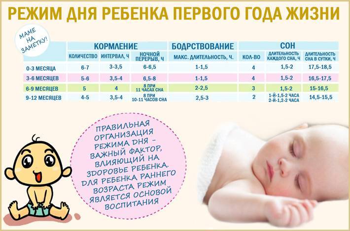 Режим дня грудного ребенка | режим дня новорожденного