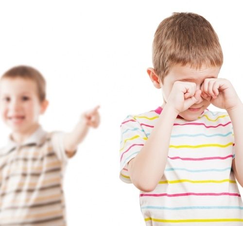 Агрессия у ребенка 3 лет. что делать и как себя вести с маленьким агрессором?