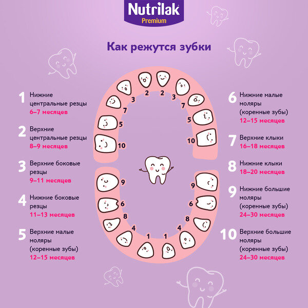 Какие зубы лезут первыми у грудничков и когда схема фото