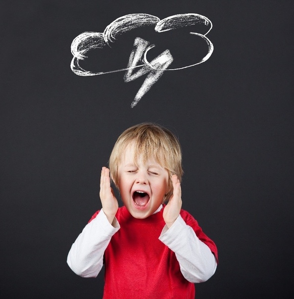 2 типа истерик у детей (истерика верхнего и нижнего мозга) и правильная реакция родителей