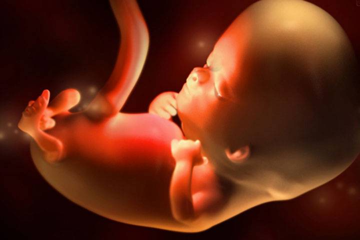 Аборт (прерывание беременности) в новосибирске - евромед клиника
