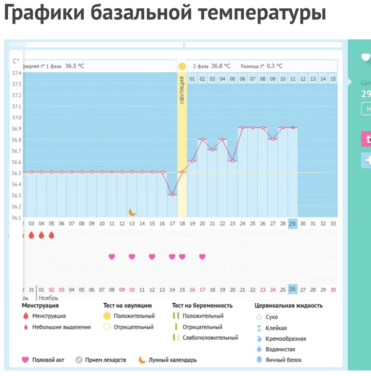 Как измерить овуляцию