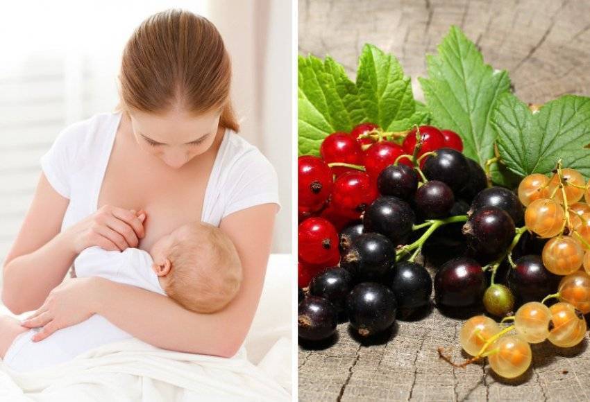 Помидоры при грудном вскармливании: можно ли есть при гв в 1 и 2 месяце, солёные и свежие овощи при кормлении новорожденного