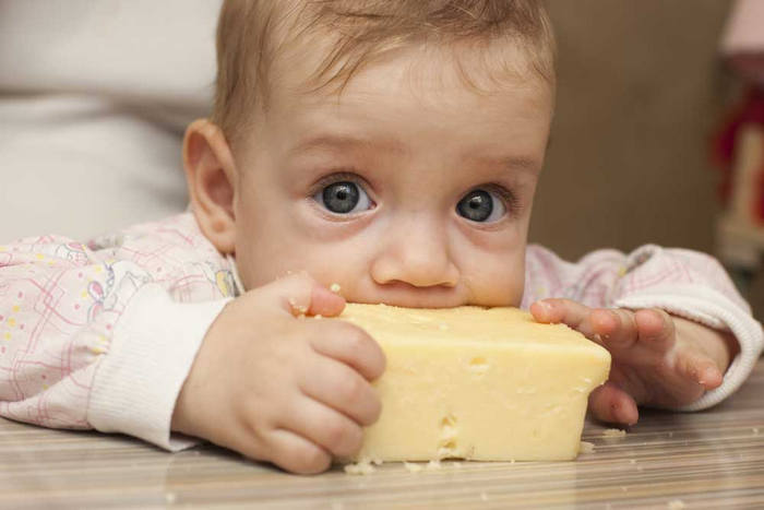 Когда можно давать ребенку сыр и какой, в каком виде?