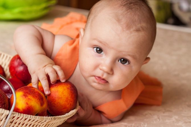 Можно ли абрикос детям? польза абрикоса для грудничка - семья и дети