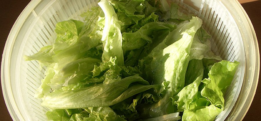 Листья салата при грудном вскармливании: полезные свойства, рецепты