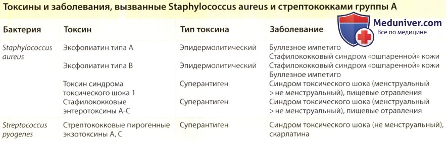 Золотистый стафилококк у грудничка: факторы риска, 6 проявлений, 2 метода лечения инфекции