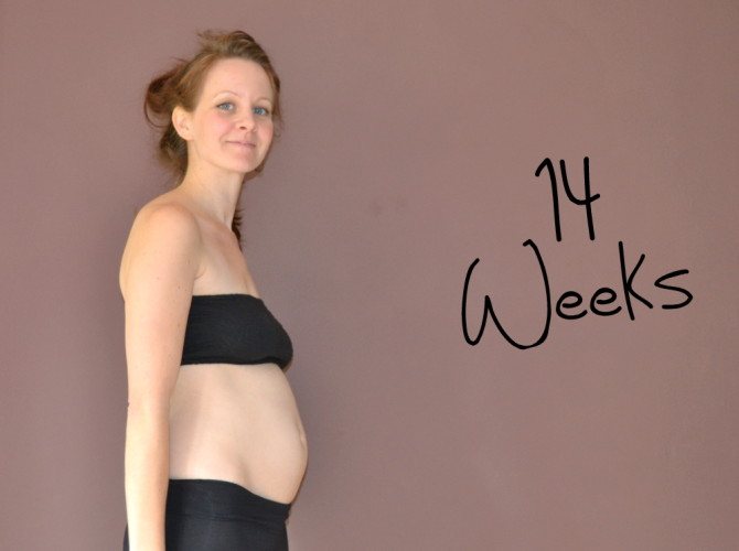 14 недель беременности – что происходит, развитие плода, ощущения, как выглядит живот - agulife.ru