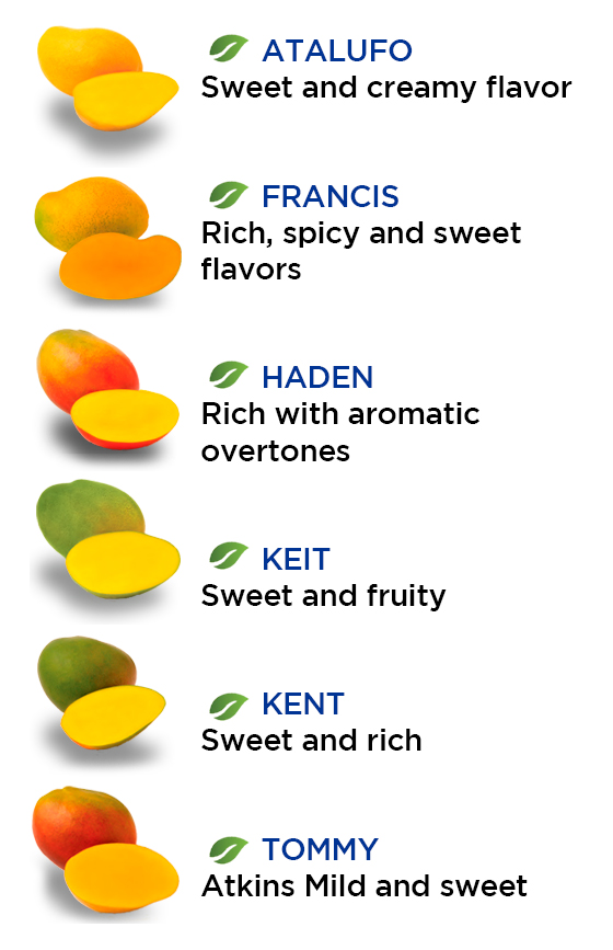 Манго - полезные и опасные свойства манго
