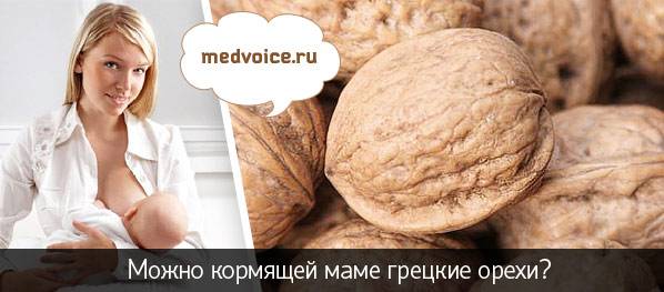 4 полезных свойства грецких орехов при грудном вскармливании