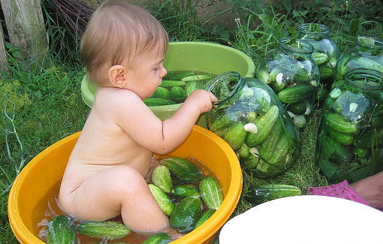 С какого возраста можно давать ребенку огурец? 13 фото со скольки месяцев вводить в рацион свежие овощи и может ли быть на них аллергия?
