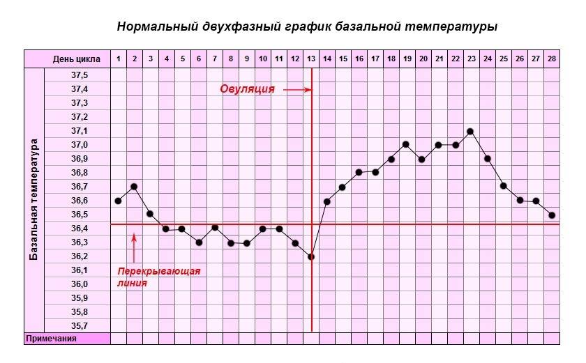 Базальная температура - что значит, как измерить, правила измерения базальной температуры