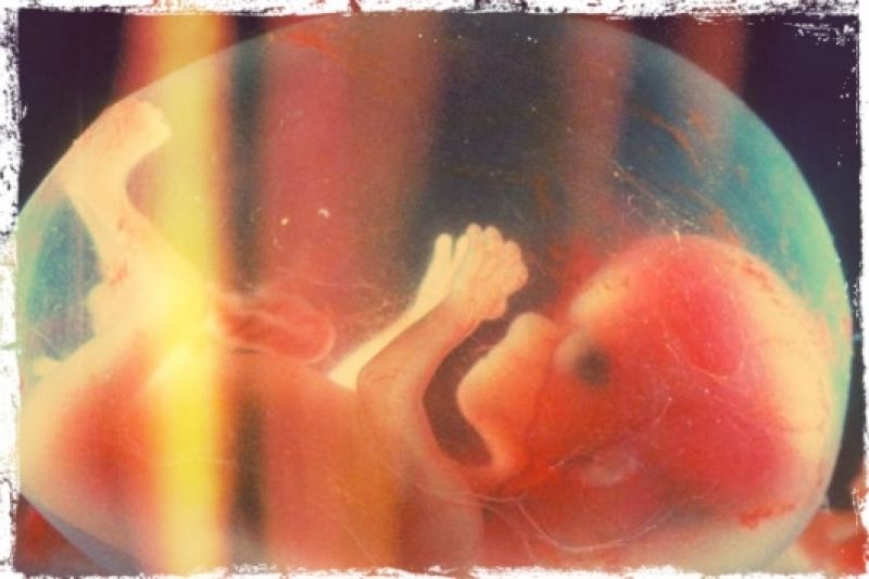 10 день после переноса эмбрионов