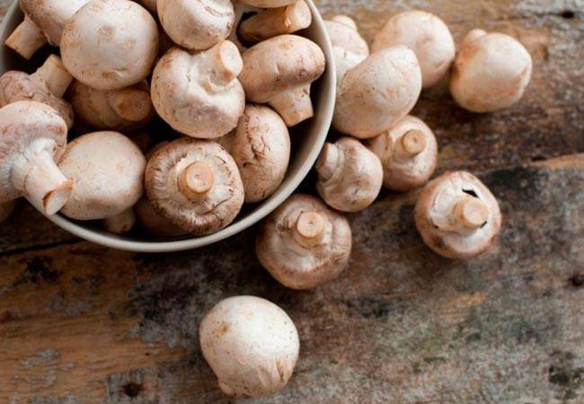 Можно ли грибы при грудном вскармливании: шампиньоны, маринованные