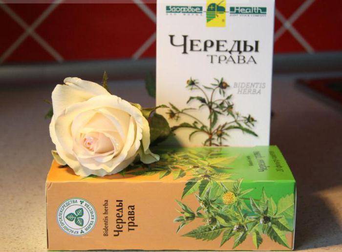 Как купать ребенка в чераде, применение при аллергии, детский крем с чередой и купание с экстрактом