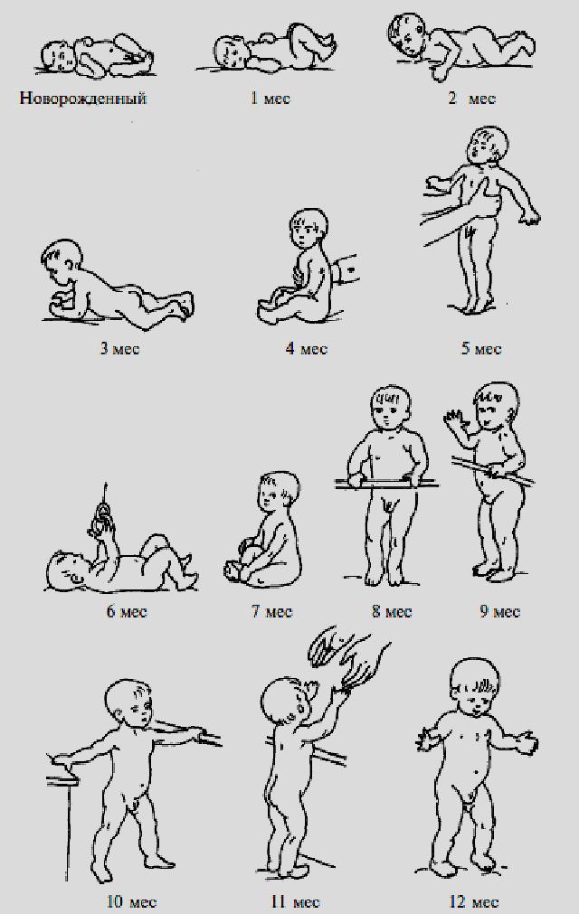 Гимнастика для детей от рождения до года