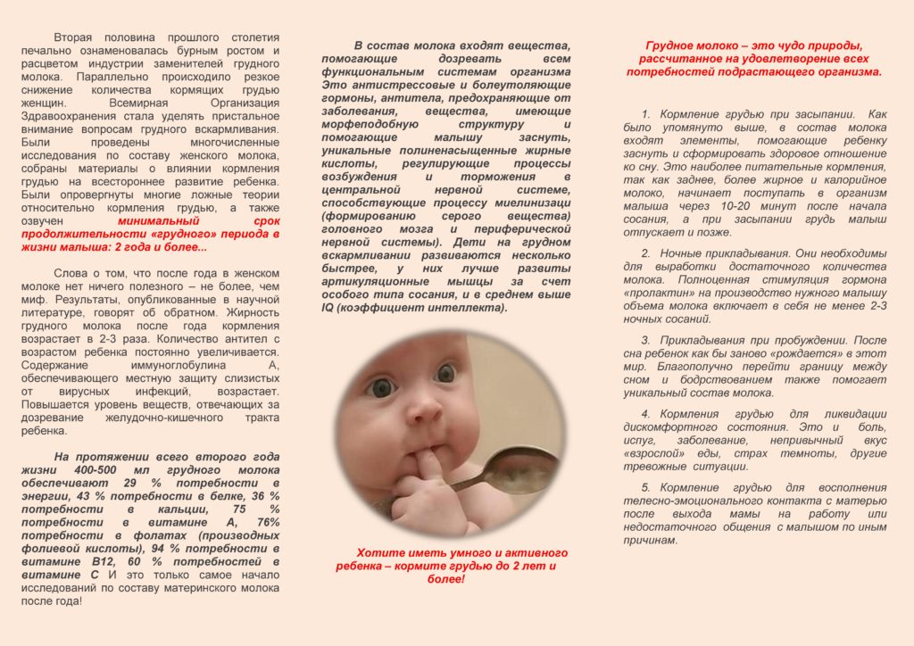 Лактация: особенности грудного вскармливания