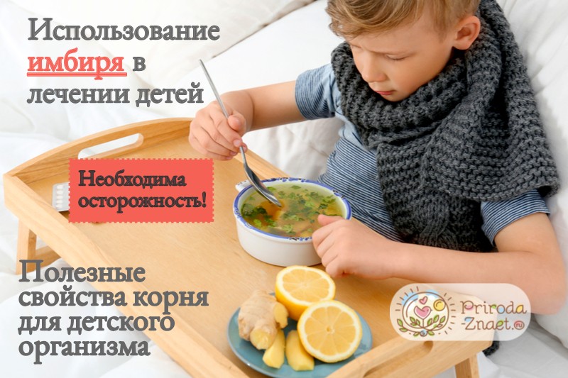 Имбирь ребенку: со скольки лет можно давать, стоит ли есть в раннем возрасте, какой выбрать и как подготовить его, а также рецепты с медом и лимоном для иммунитета русский фермер