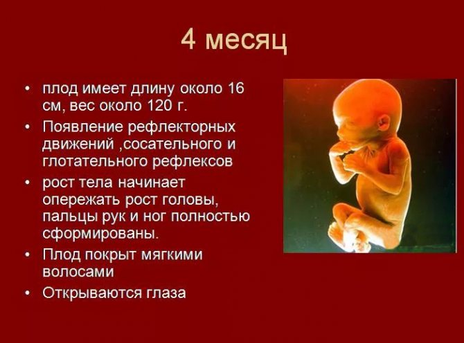Четвертый триместр — учимся делать первые шаги в материнстве