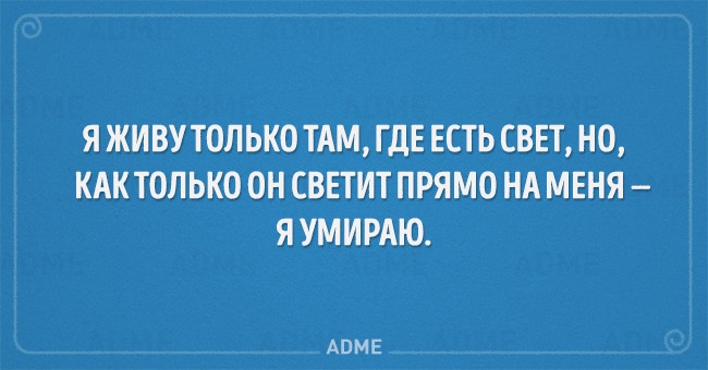 Смешные загадки с подвохом для детей и взрослых