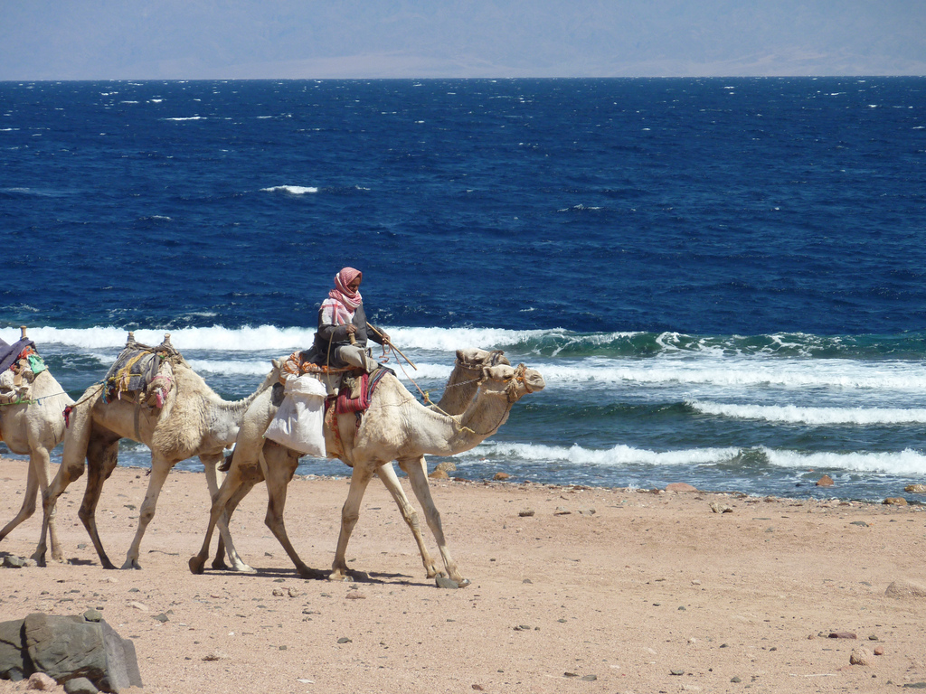 Отдых в египте: все что нужно знать об отдыхе в египте