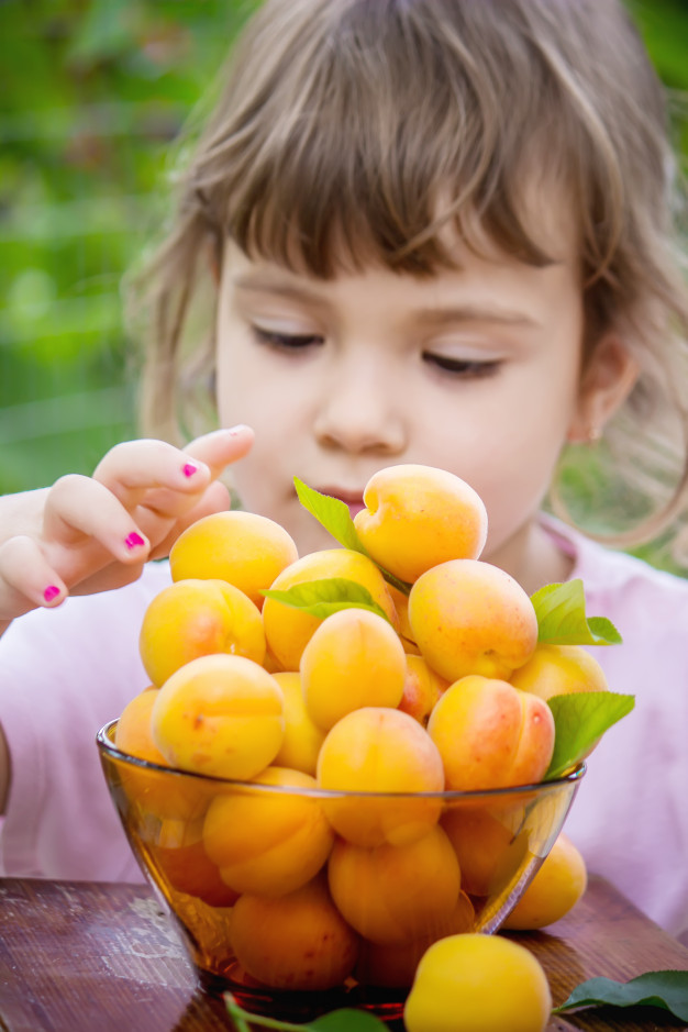 Когда можно давать ребенку абрикос (с какого возраста)?