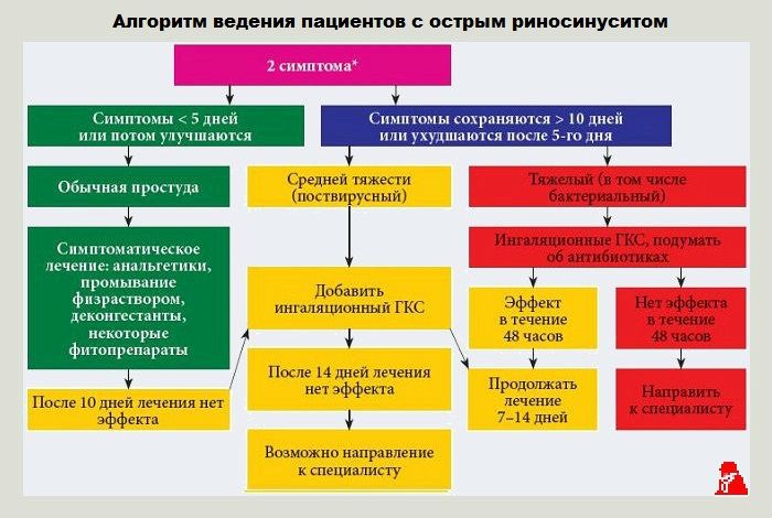 Схема лечения при гайморите