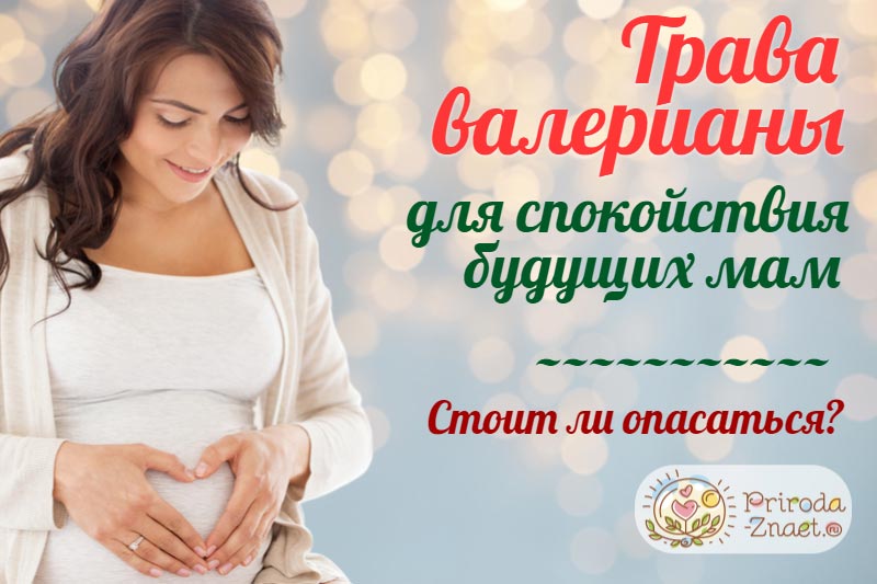 Валерьянка при беременности на ранних и поздних сроках: можно ли, инструкция / mama66.ru