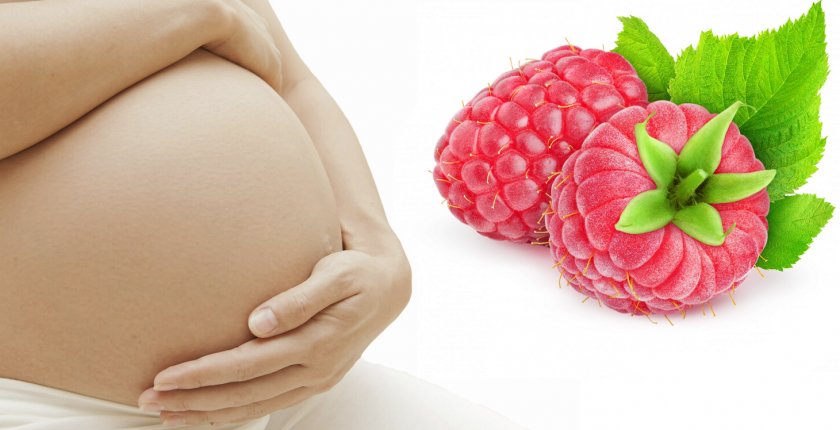 Малина при беременности — польза, противопоказания и риски употребления