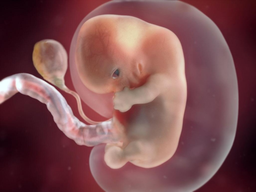 Аборт на 8 неделе беременности