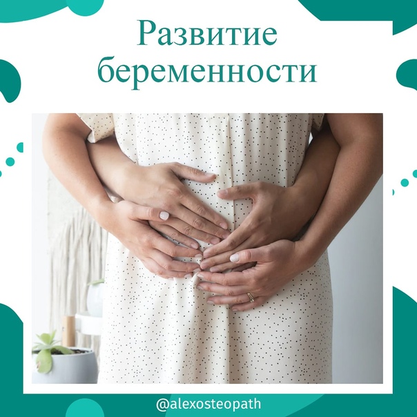 Второй и третий триместры: инструкция для будущей мамы - parents.ru
