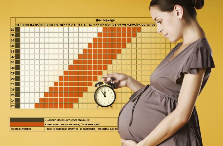 Первая неделя беременности. определение акушерского и эмбрионального срока и пдр