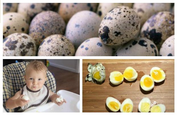 Разбираемся, с какого возраста ребенку можно давать яйцо