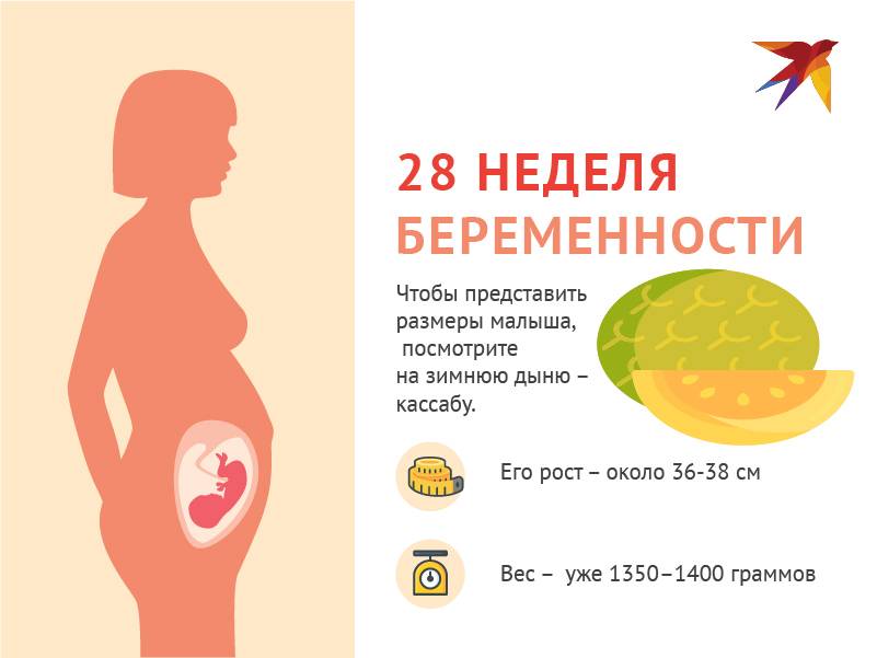 40 неделя беременности / календарь беременности