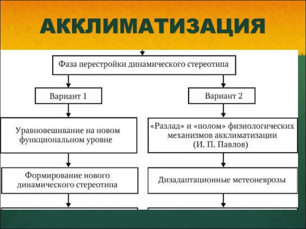 Гингивит у детей: симптомы. лечение гингивита. лечение гингивита в домашних условиях