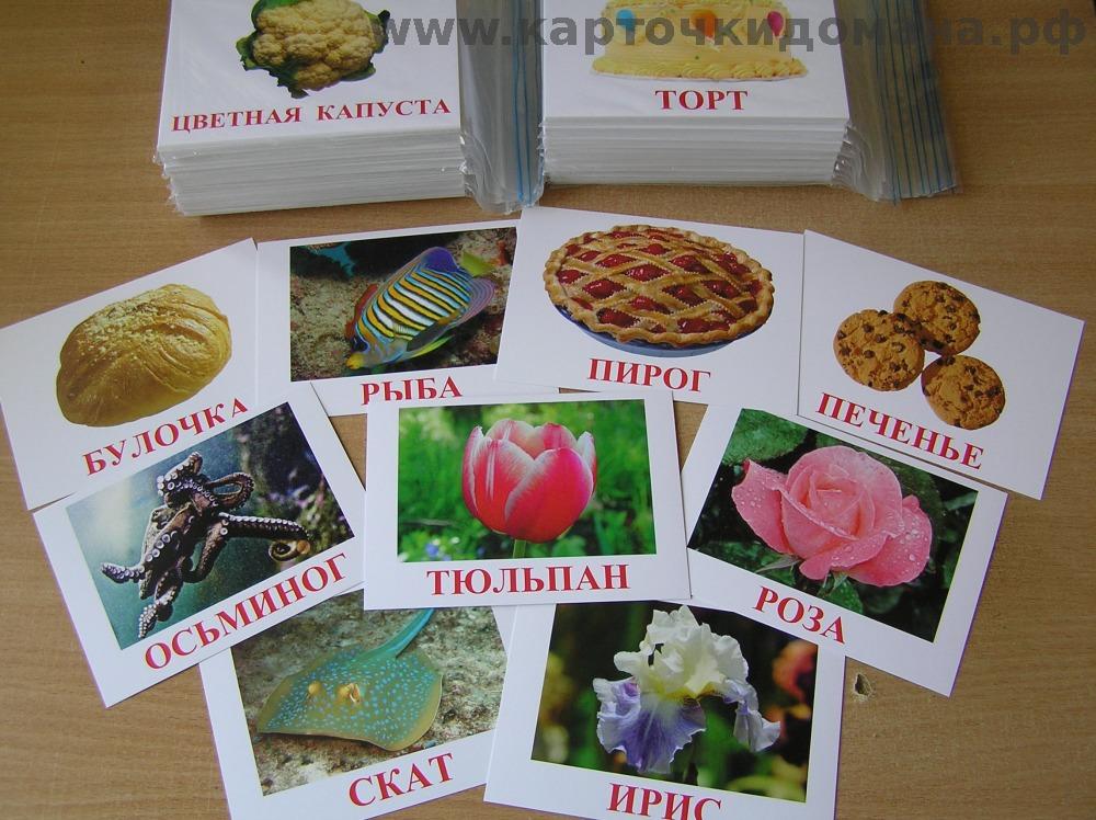 Как сделать карточки домана своими руками | карточки для чтения и энциклопедических знаний