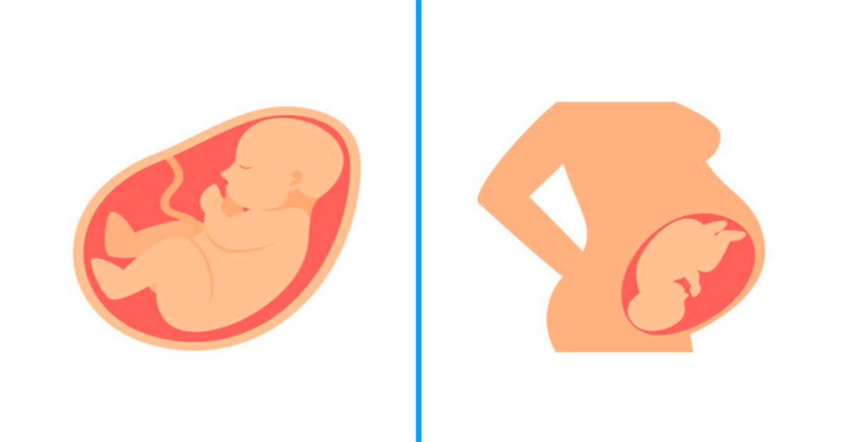 20 фактов о беременности, которые ты могла не знать - китай удивляй