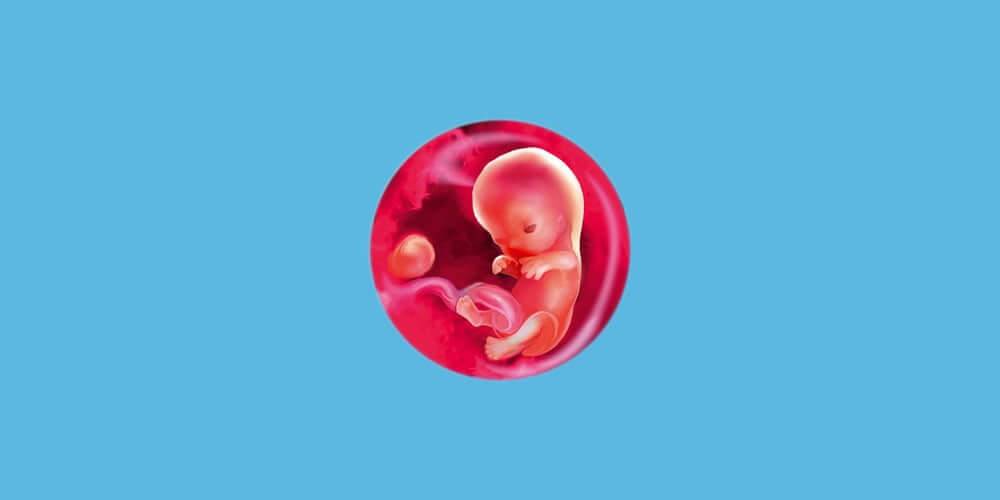 Первые «разумные» движения: эксперт рассказала об особенностях протекания 9 недели беременности